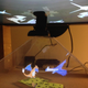 Illustration for article titled Fan Creates Awesome Holographic Pokémon Projections